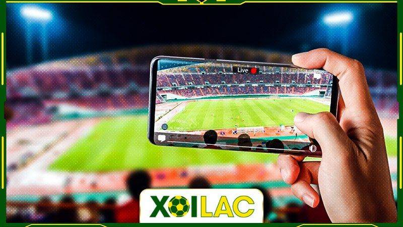 Xoilac điểm đến hàng đầu khi xem bóng đá trực tiếp tại nhà